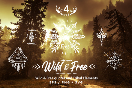 Wild & Free Quotes, a Decorative Illustration by ViktoriaARTprint