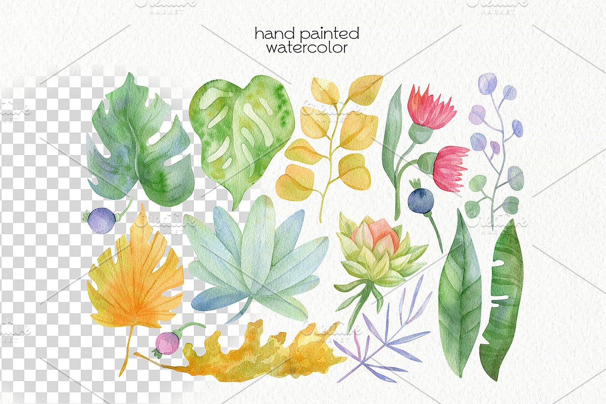 Watercolor Flowers Bundle, an Illustration by OllyKo Art (Photo 9 of 15)