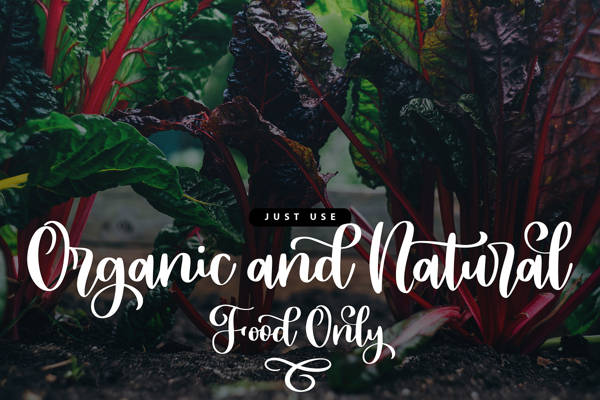 Hailey - Cute and Bold Script, a Script Font by Typefactoryco (Photo 2 of 7)
