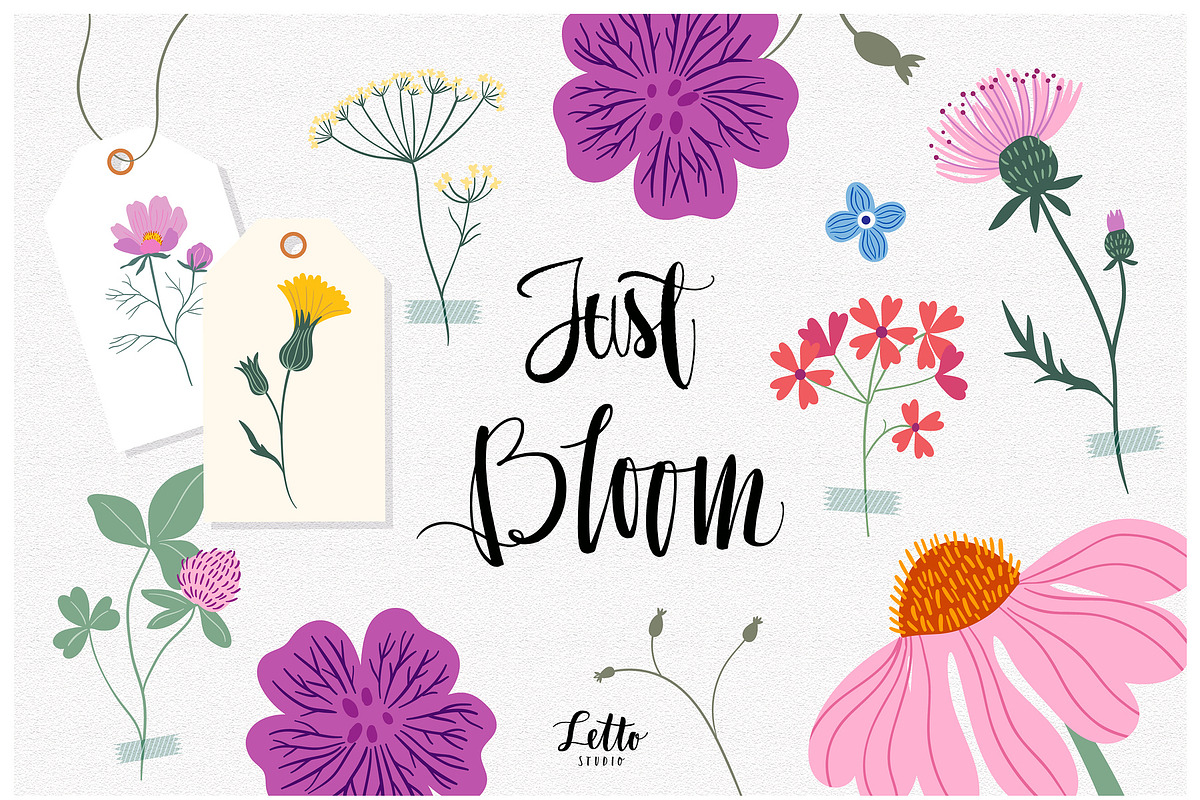 Meadow flowers collection, an Illustration by Letto studio (Photo 4 of 7)
