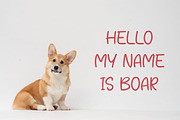 MORTALE Playful Handwriting Font, a Handwritten Font by NTC Graphic (Thumbnail 5 of 8)