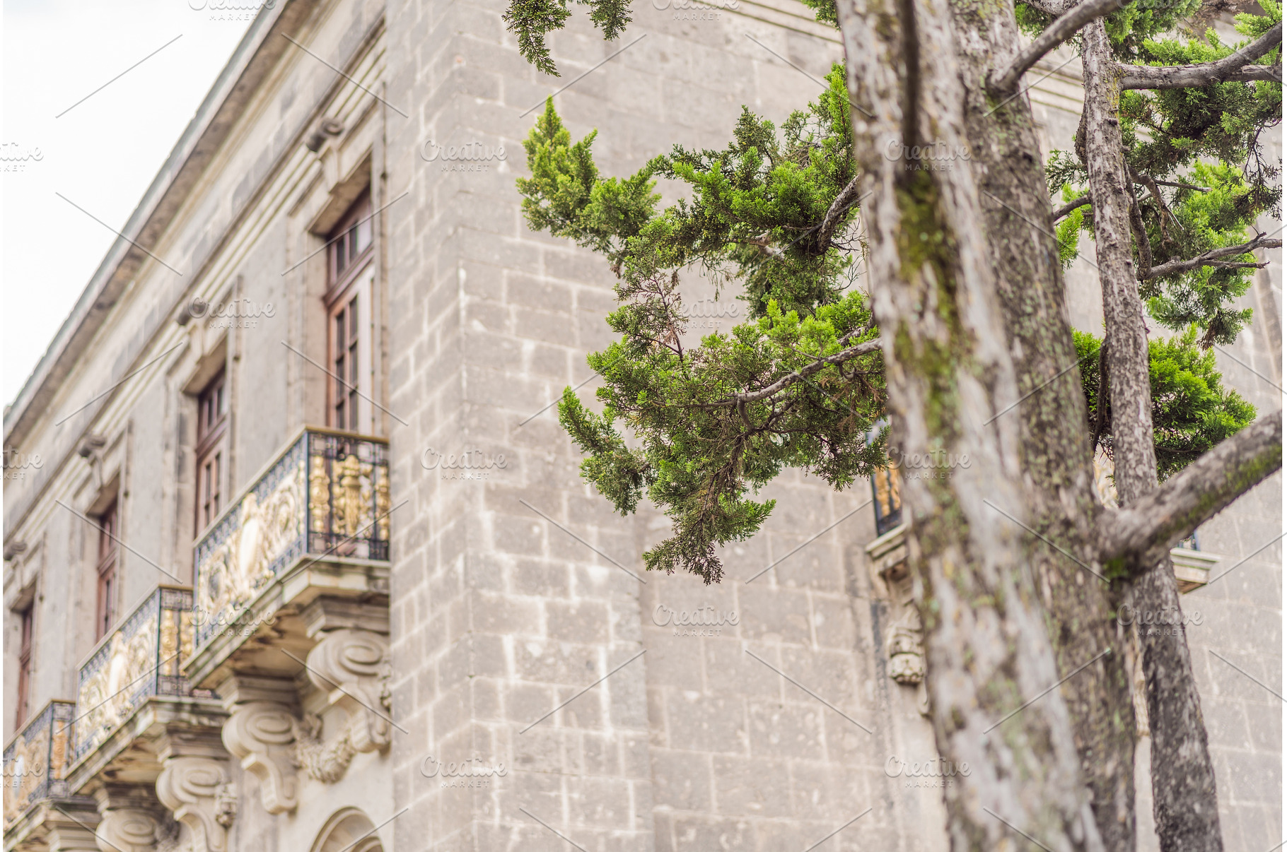Chapultepec Castle in Mexico City, a, an Architecture Photo by Elizaveta Galitskaya