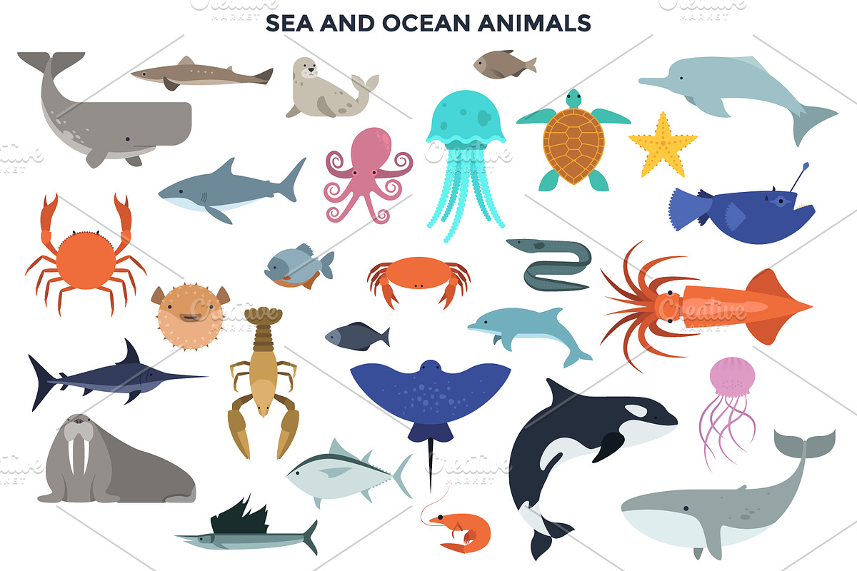 187 Animals Of The World, an Animal Illustration by Andrew Kras Design (Photo 6 of 15)