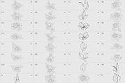 Procreate flower stamp, a Brush Add-On by AnnaPolitmerskaja (Thumbnail 4 of 6)
