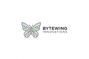 Bytewing Innovations Logo, a Branding & Logo Template by Logocreative