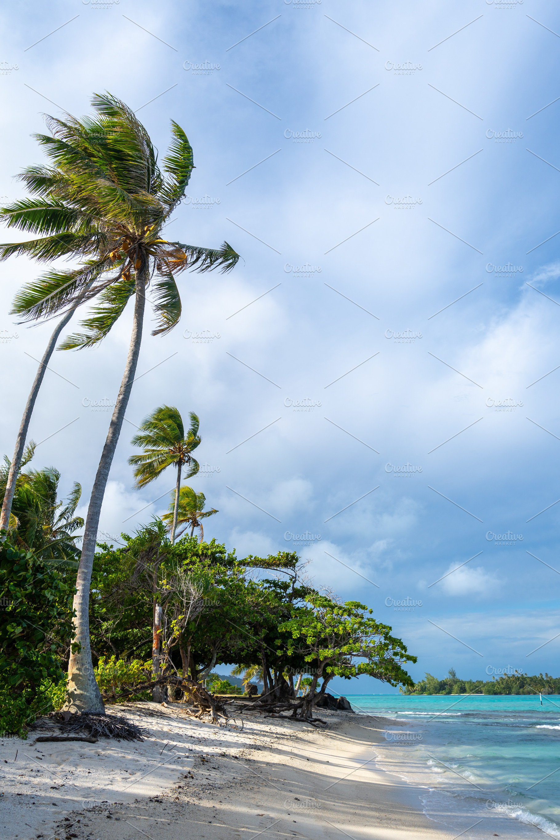 Anini Marae Beach on Huahine, French Polynesia, with turquoise w, a Nature Photo by GoodGoods