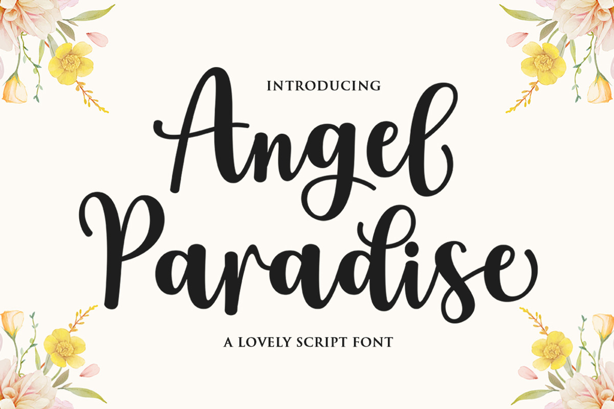 The Beautiful Font Bundle, a Script Font by Attract Studio (Photo 3 of 31)