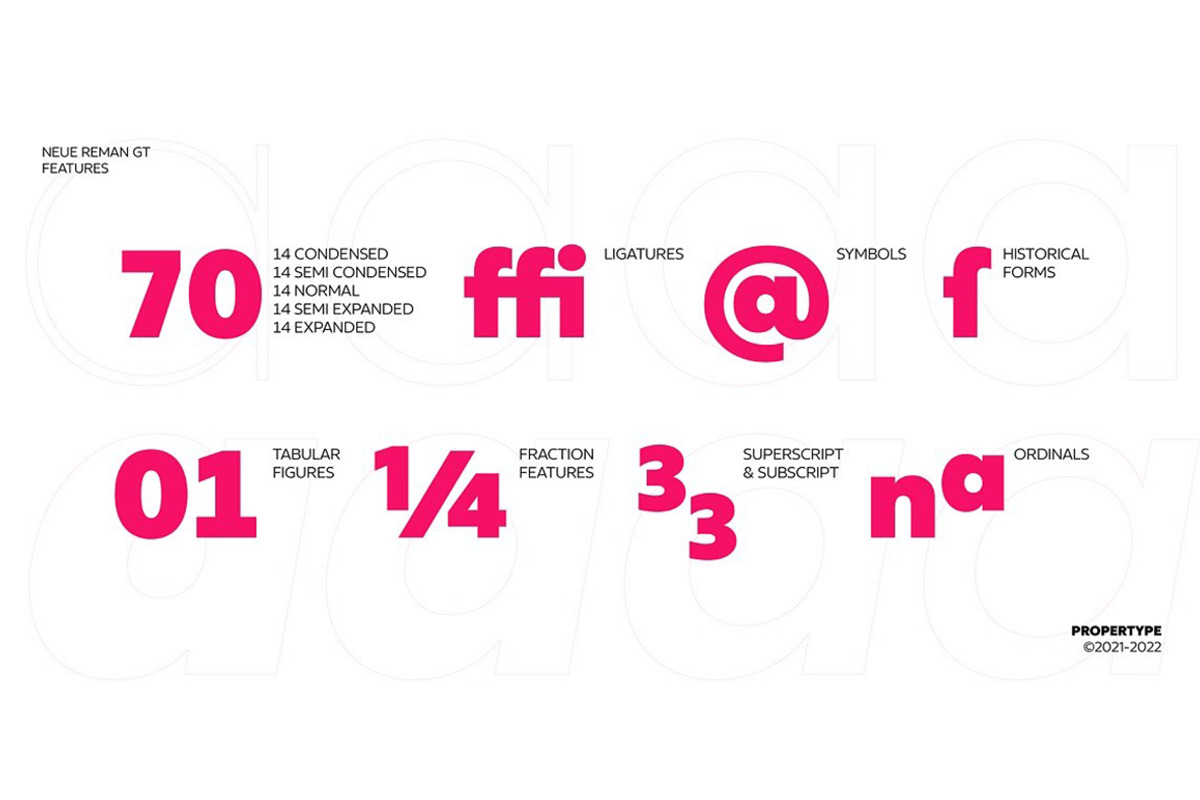 Neue Reman Grotesk, a Sans Serif Font by Propertype (Photo 8 of 14)