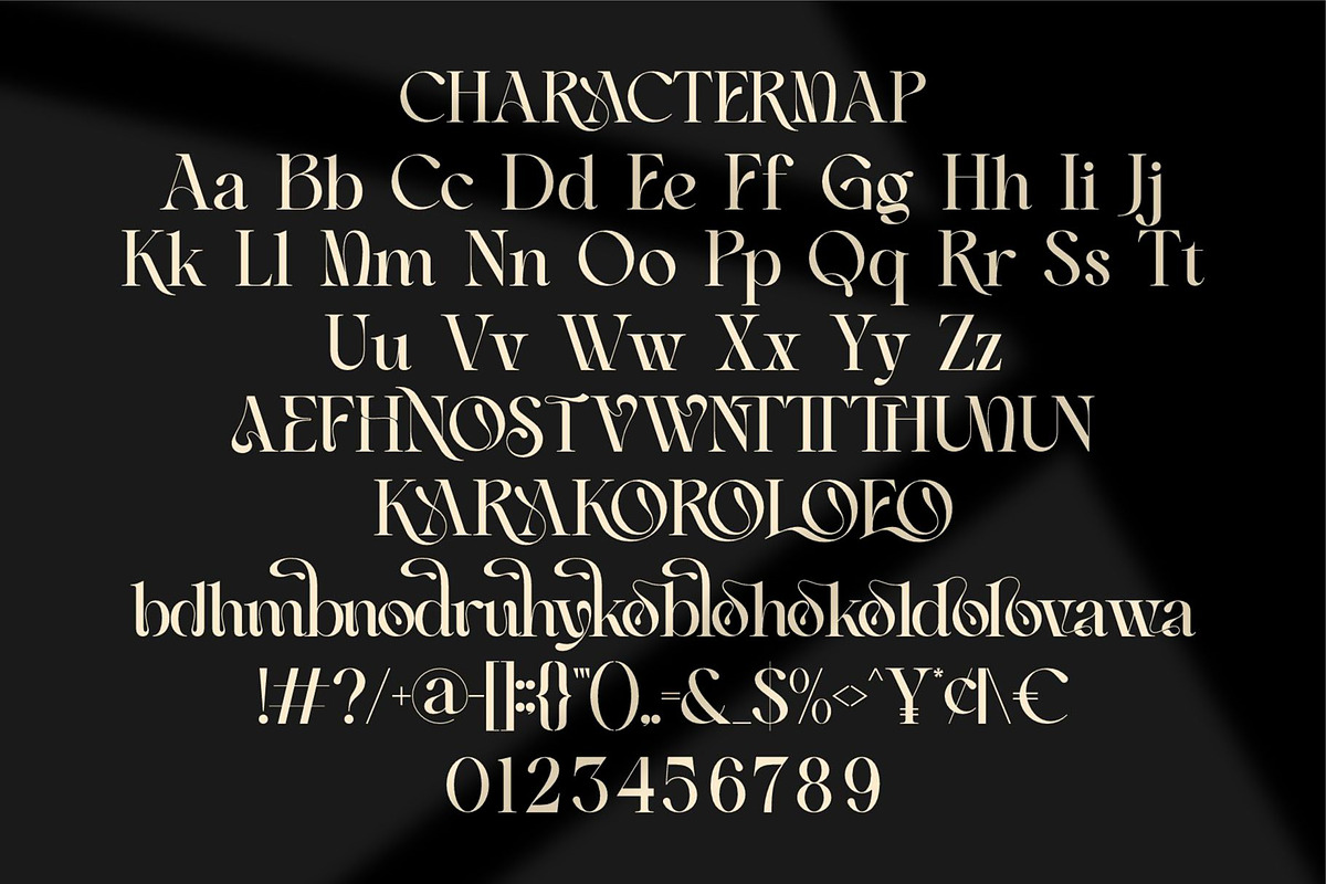 Ranelo || Modern Elegant Serif Font, a Serif Font by Ermedia Studio (Photo 10 of 10)