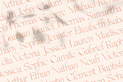 MOON CROWD - Elegant & Stylish Serif, a Serif Font by SilverStag Type Foundry (Thumbnail 22 of 26)