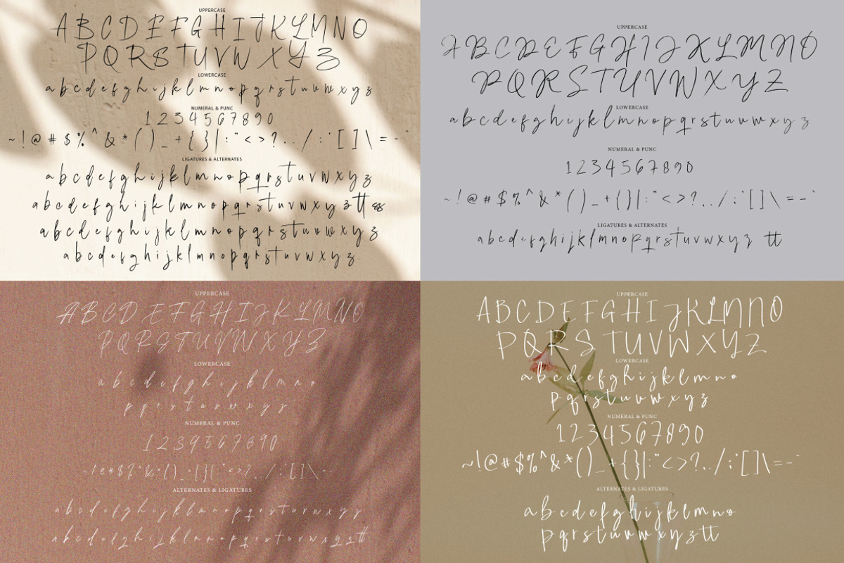 Casual Signature Font Bundles, a Handwritten Font by tebaltipislab (Photo 20 of 46)