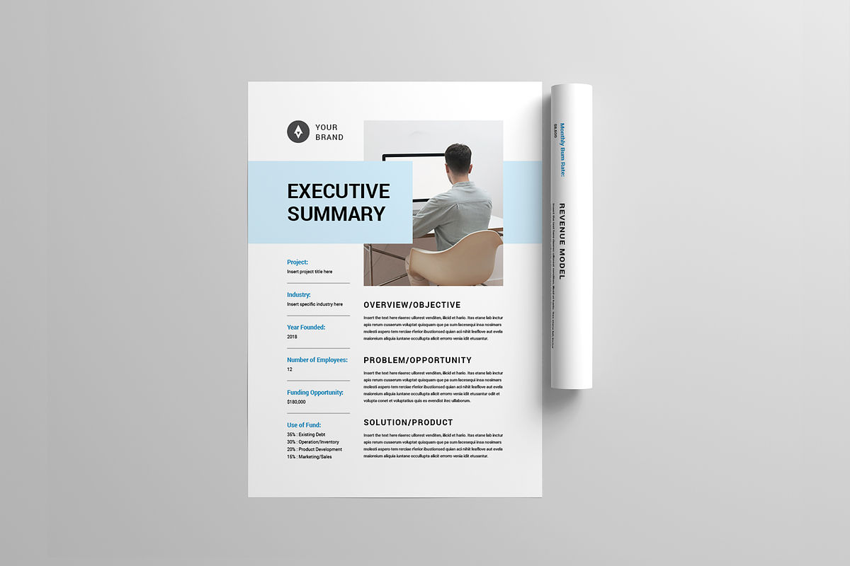 Executive Summary | MS Word & Indd, a Stationery Template by Leaflove