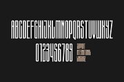 Calcio - Ultra Condensed, a Sans Serif Font by Graphicfresh (Thumbnail 5 of 5)