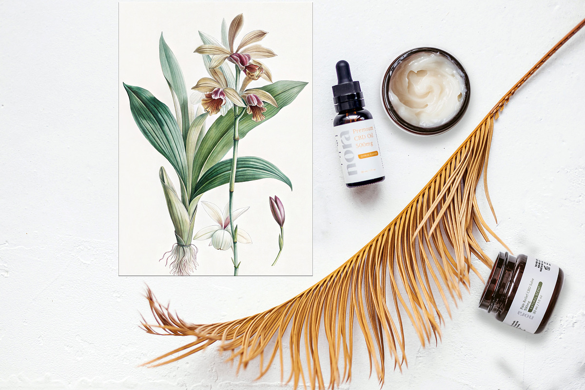 Tropical rainforest clip art set, a Seasonal Illustration by FleurArt (Photo 10 of 12)