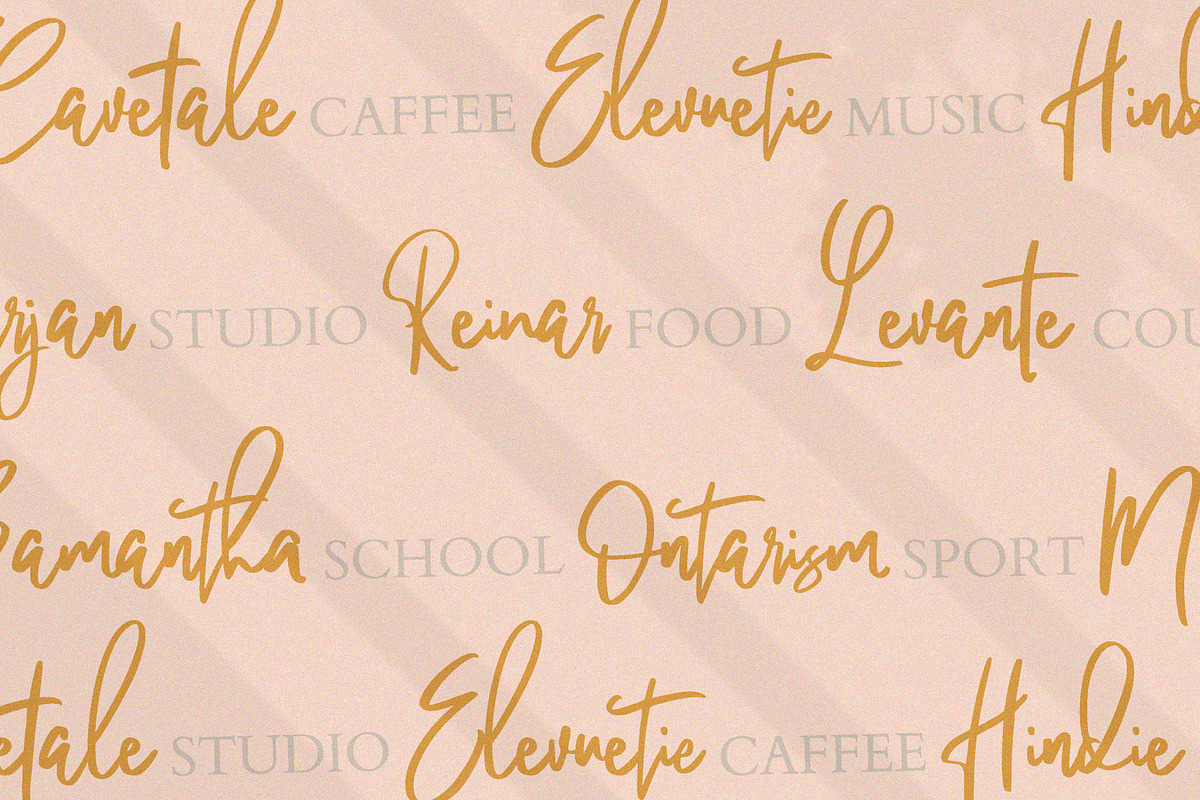 Pandertoos - Handbrush Signature, a Script Font by tebaltipislab (Photo 2 of 11)