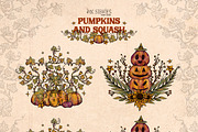 Pumpkins and Squash, a Seasonal Illustration by Ink Stories (Thumbnail 8 of 20)
