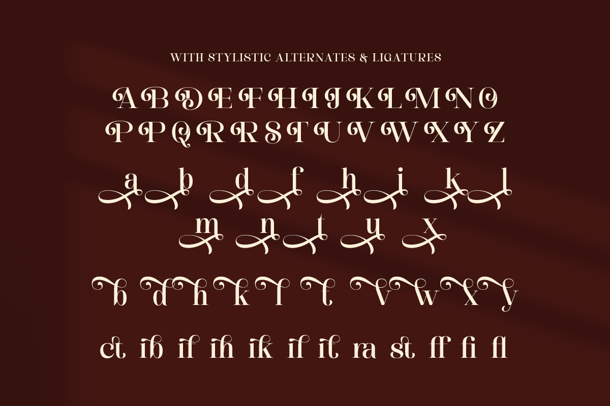 Dashling - Bold Modern Stylish Serif, a Serif Font by Shakira Studio (Photo 9 of 10)