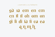 galink Modern Ligature Serif, a Serif Font by Humaira_std (Thumbnail 10 of 10)