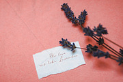 Aiffon Handwritten Script, a Script Font by Awanstudio (Thumbnail 6 of 8)