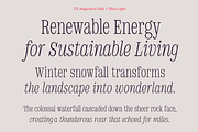 DT Augustina Slab 1 Subfamily, a Slab Serif Font by Deveze Type Foundry (Thumbnail 4 of 31)