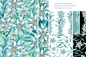 Watercolor Edelweiss Collection