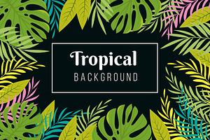 Tropical Background. Rainforest Palm