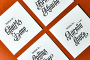 Donetta - Modern Vintage Font, a Handwritten Font by TypeClassHeroes (Thumbnail 5 of 10)