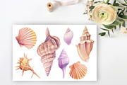 Watercolor starfish, shells, crabs, an Animal Illustration by Hanna Hryharenka (Thumbnail 12 of 12)