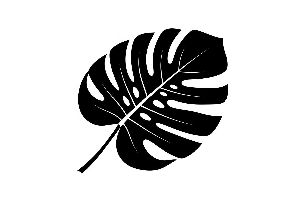 Monstera Leaf Silhouette Bundle, an Illustration by yasushie (Photo 24 of 31)