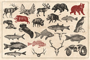 150 Vintage Hunting/Fishing Vectors, an Animal Illustration by Brigantine Designs (Thumbnail 7 of 8)