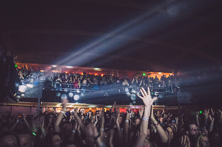 Excited Crowd at Lively Concert