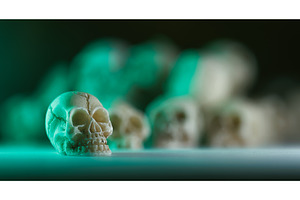 Miniature skulls background. Skull, a Holiday Photo by Lukas Jonaitis SHOP