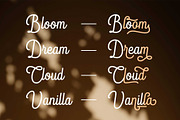 Blandony - Modern Vintage Monoline, a Script Font by Novitype (Thumbnail 7 of 12)