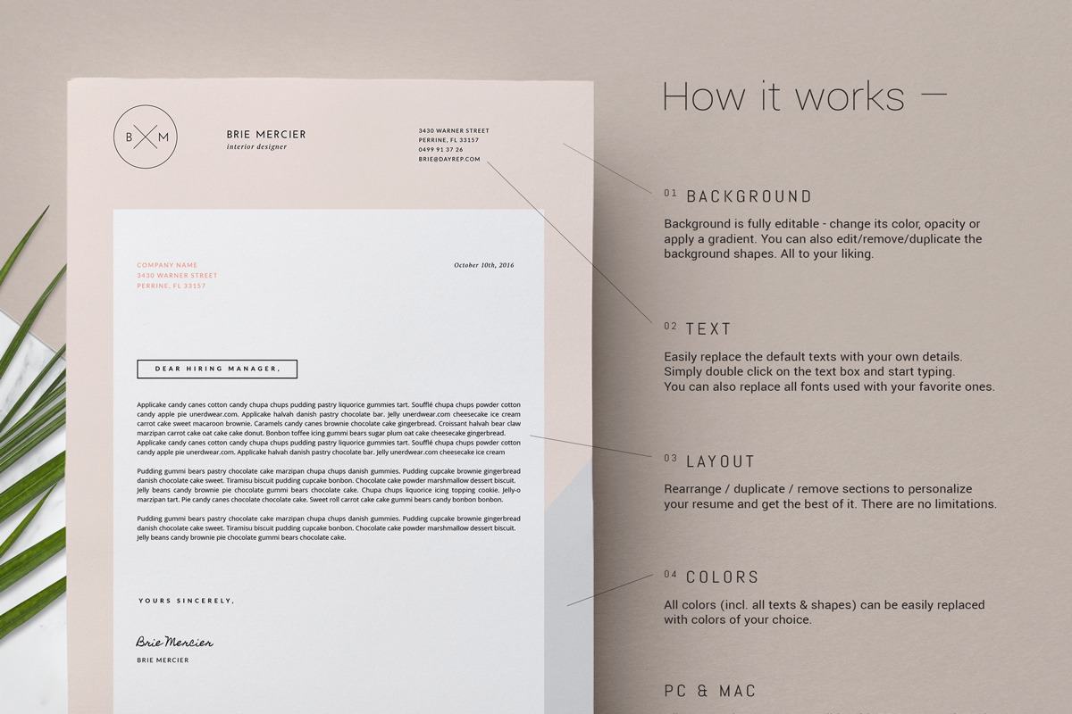 Minimal Resume Template / Brié, a Resume Template by This Paper Fox (Photo 3 of 4)