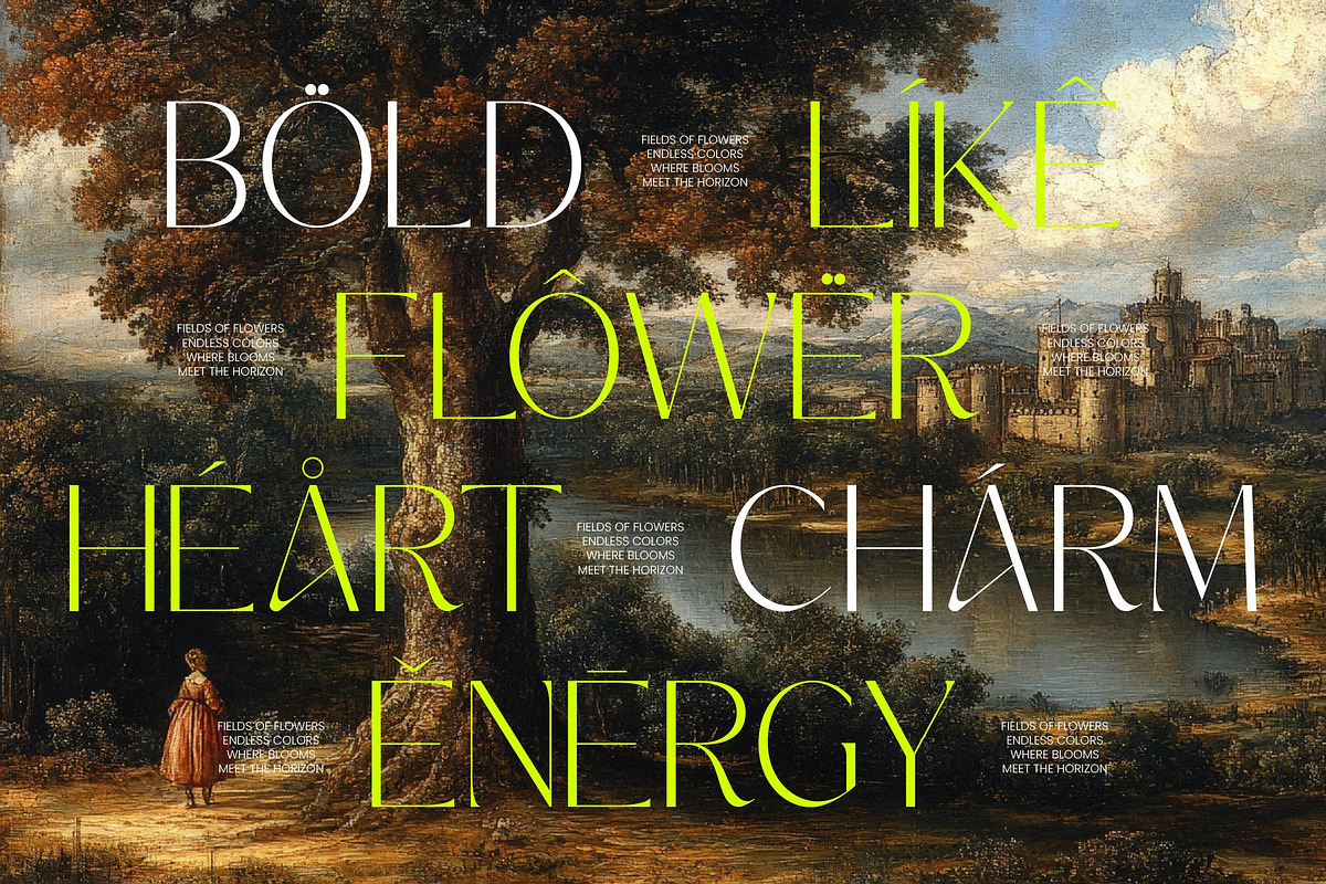 Silence Night Elegant Sans Serif, a Sans Serif Font by timelesstype.co (Photo 3 of 10)