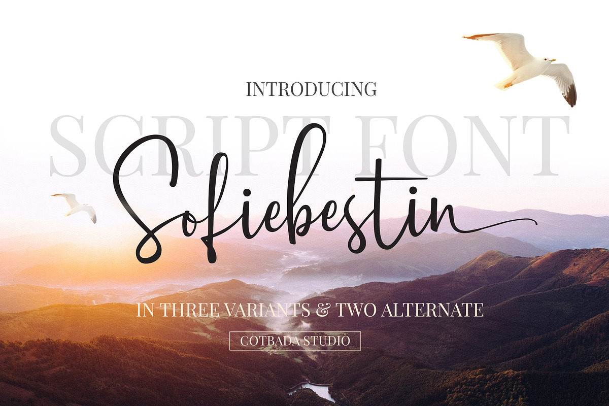 Sofiebestin Script