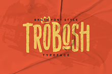 TROBOSH TYPEFACE BRUSH