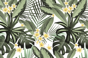 Tropical Patterns & Set VECTOR