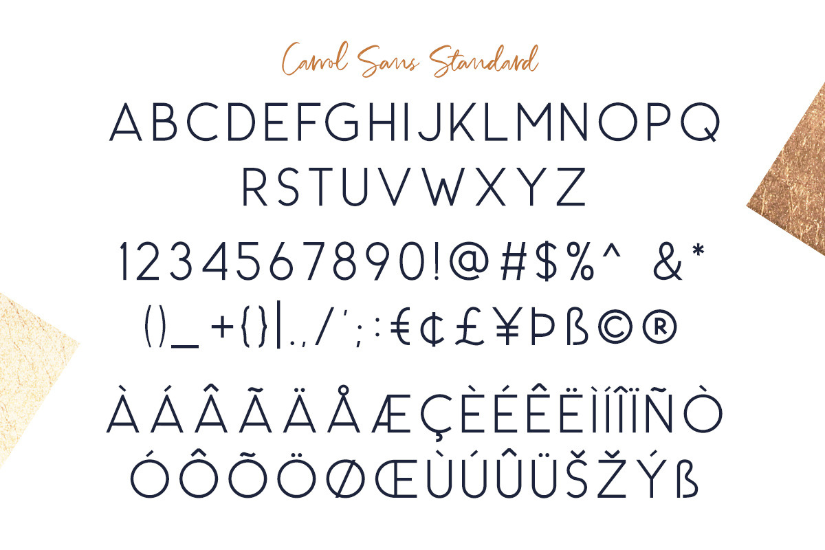 Richardson - Signature Brush, a Script Font by Sarid Ezra (Photo 14 of 15)