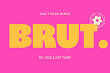 BRUT - Bold Display Sans Serif Font