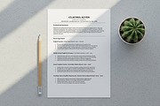 ATS Friendly Resume For Teacher, a Resume Template by SmmrDesign (Thumbnail 6 of 8)