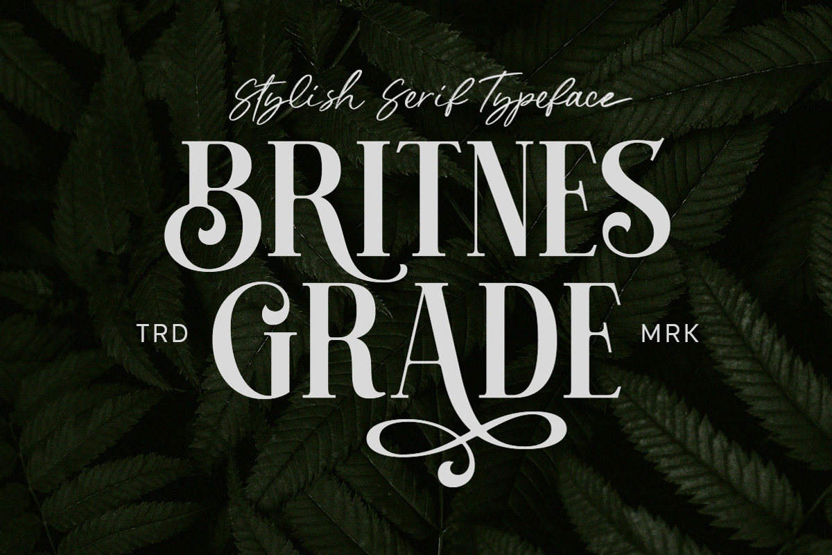 Britnes Grade - Stylish Serif, a Serif Font by Letterhend Studio (Photo 1 of 9)