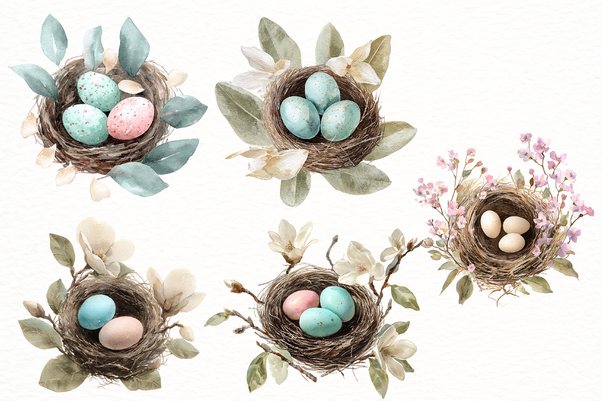 Watercolor Boho Bird Nests Clipart, an Illustration by Designworld (Photo 5 of 5)