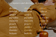 Tropea, a Serif Font by Larin Type Co. (Thumbnail 8 of 15)