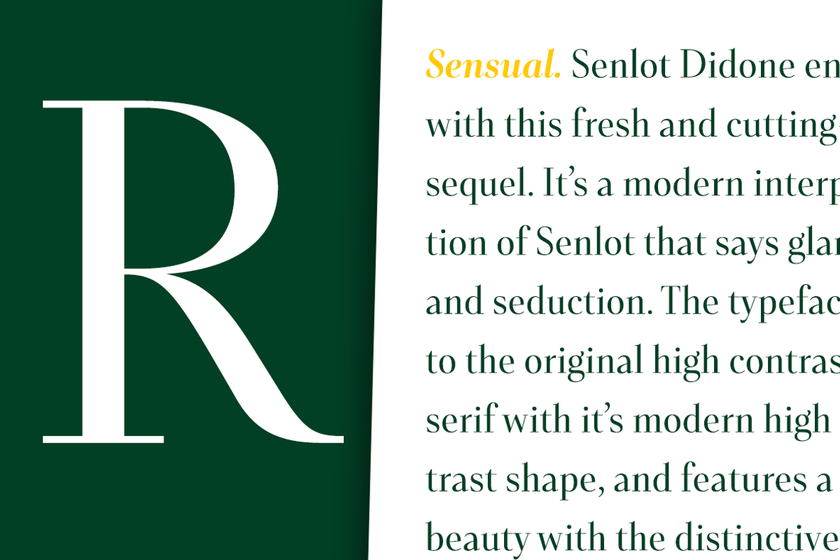 Senlot Didone, a Serif Font by insigne (Photo 3 of 4)