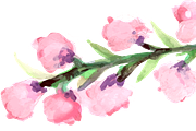Handpainted Flowers, an Illustration by Karen Fields Design (Thumbnail 2 of 4)