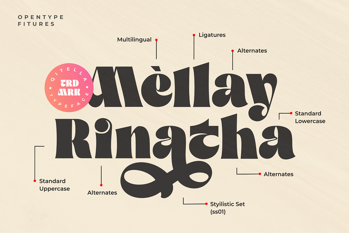 Qitella Modern Stylist Font, a Serif Font by zeenesia (Photo 2 of 15)