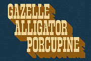 Slabrity, a Slab Serif Font by graphicook (Thumbnail 5 of 10)