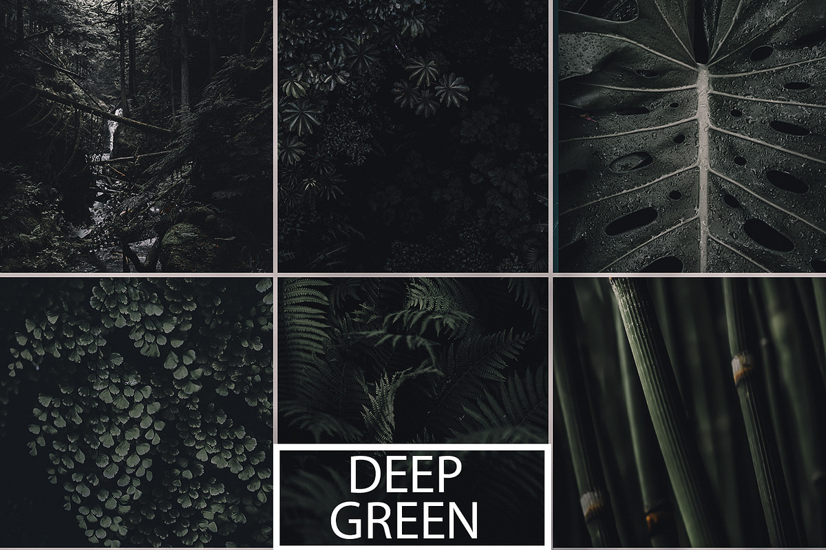 Deep Green Preset, a Plug-in Add-On by Unlimited Presets (Photo 1 of 3)