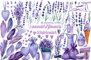 Lavender flowers watercolor, clipart